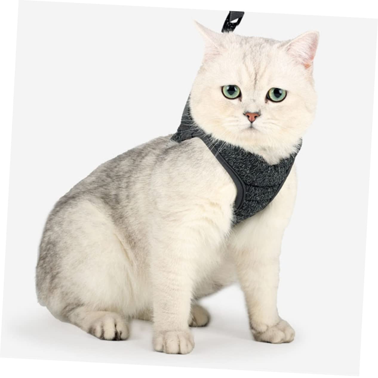 Sosoport 3 Pièces Gilet pour Animaux De Compagnie Harnais pour Chat Sangle De pour Chat Sangle De pour Animaux De Compagnie Harnais pour pour