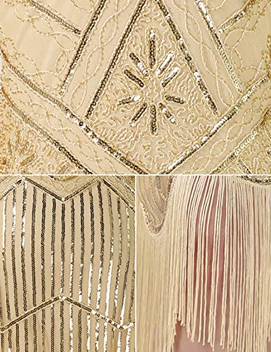 Image of Plus Size 1920s Vintage Fringed Gatsby Sequin Beaded Tassels Hem Flapper Dress for Women