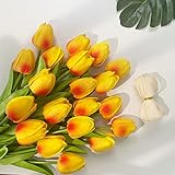 ramo tulipanes blancos precio 🌷Amplia aplicación: Las flores de tulipán de imitación se pueden usar en múltiples escenas, perfectas para la decoración del hogar, la decoración de la oficina, ramo de novia, el ramo de bodas y la decoración de eventos, agregando belleza para la decoración de todo tipo de ocasiones. Especialmente para bodas, el tulipán individual es ideal para ramos o decoración de mesas, fondos, etc.