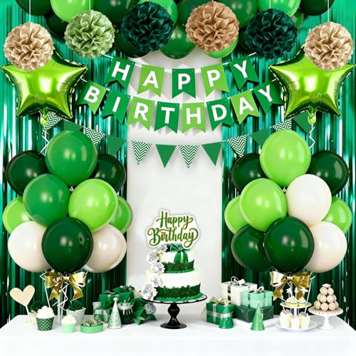Green Birthday Party Decorations Happy Birthday Banner Fringe Curtain Star-Shaped Foil Confetti Balloons Man Boy 13th 16th 18th 20th 30th 40th 50th 60th Birthday Decorations (Green)