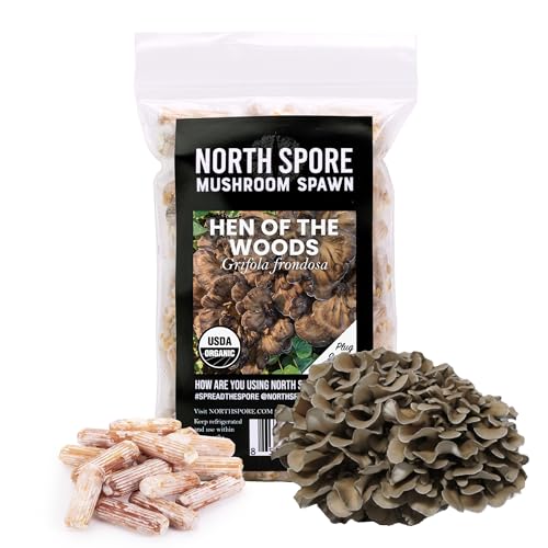 North Spore Organic Hen of The Woods (100 ct) Maitake