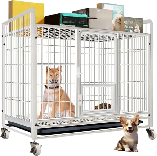 BACKOLU ^ Q[W ybgQ[W LX^[t gȒP |ȒP p Eoh~ ϋv @\ Opp V (zCg,77×54×80cm)