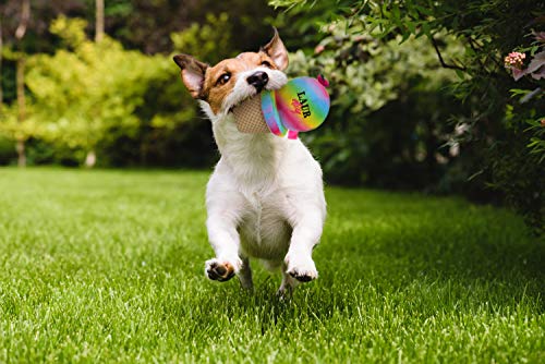 Juguete para perros Plush Helado con cuerda y chillador miniatura 4