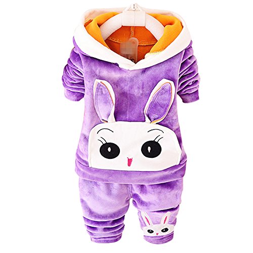 EFZQ Children Girls Clothing Sets Cartoon Bunny Twinset Long Sleeve Hoodie and Pants Purple 18-24Months