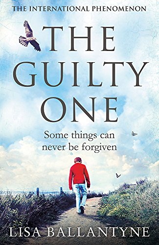 The Guilty One view 2