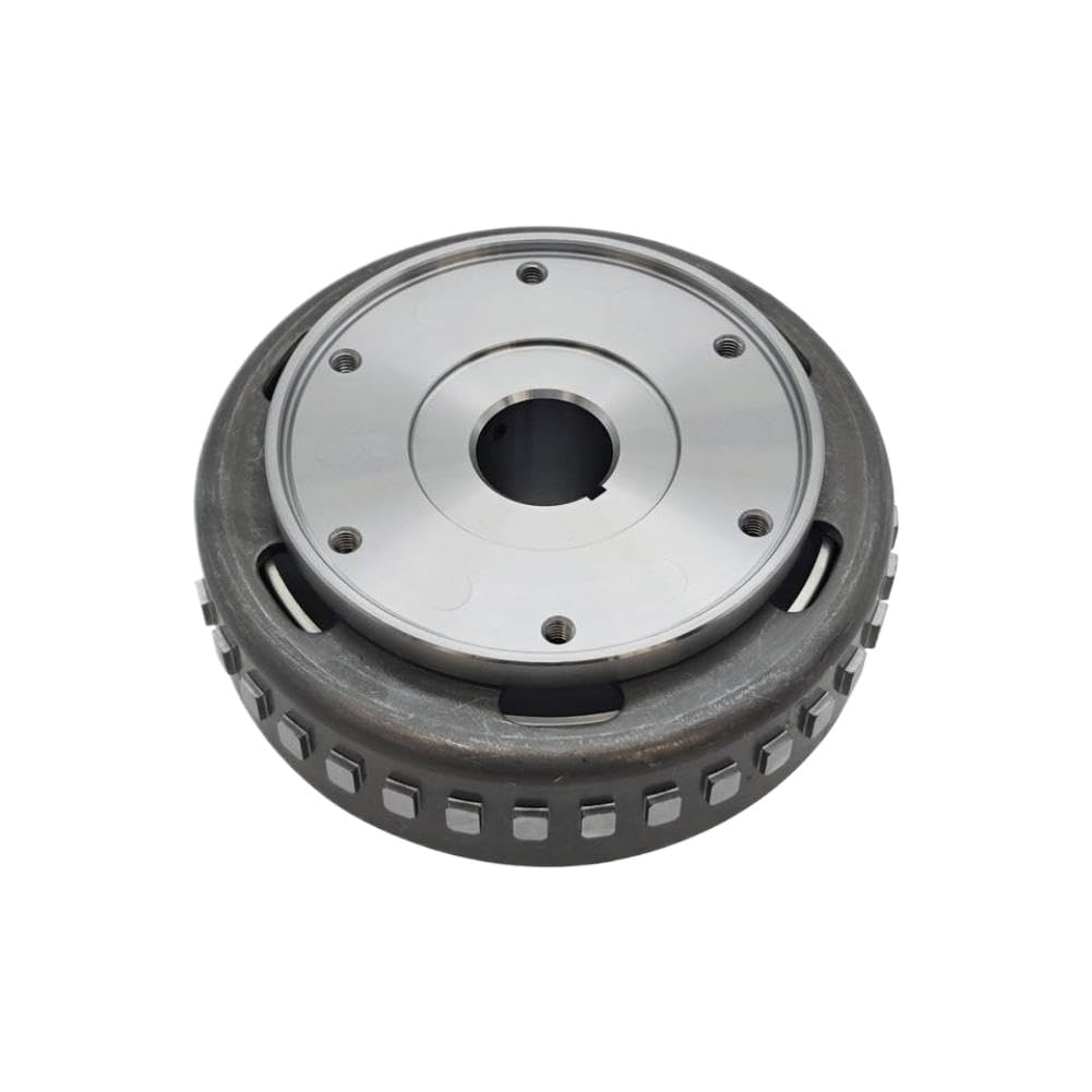 Generator Rotor E01C21220001 for Snarler AT6L AT6S Deluxe-L Luxe STD Starter