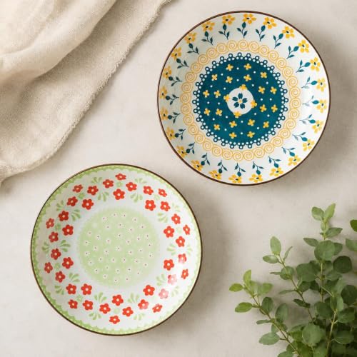 Image of Ceramic Pasta Plate, 20.4 cm Porcelain Dinner Plates, Microwave & Dishwasher Safe, Food Grade Ceramic, Deep Serving Plate for Pasta, Salad, Soup, Curry & Noodles (Multicolor Floral, PACK OF 2)