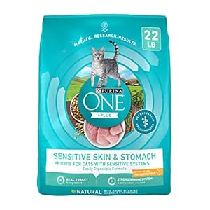Purina ONE Sensitive Stomach, Sensitive Skin, Natural Dry Cat Food, +Plus Sensitive Skin and Stomach Formula – 22 lb. Bag