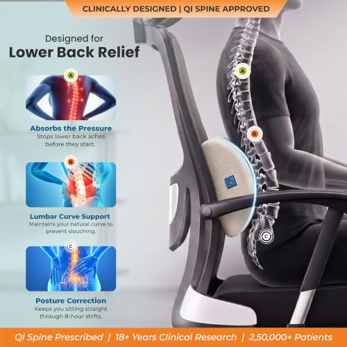 Image of D-Shaped Lumbar Support Roll | 5-Yr-Warranty | Memory Foam | Medical Grade Back Cushion for Lower Back Pain, Sciatica | Office Chair & Car Seat Lumbar Roll(White)(Set of 3)