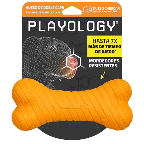 Playology Juguete de hueso de doble capa para perros grandes (35 libras en adelante), para masticadores pesados, juguete perfumado de queso cheddar totalmente natural, materiales no tóxicos