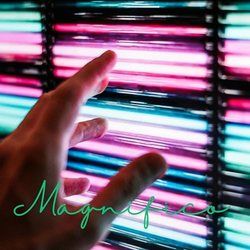 Magnifico
