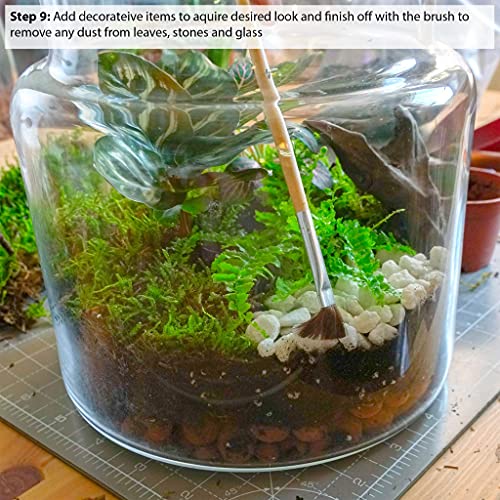 Handgemaakte Clear Glas Diy Terrarium Kit Thuis Eco Tuin Display Bloempot Indoor Centrepiece 14cm Hoogte - Afbeelding 6