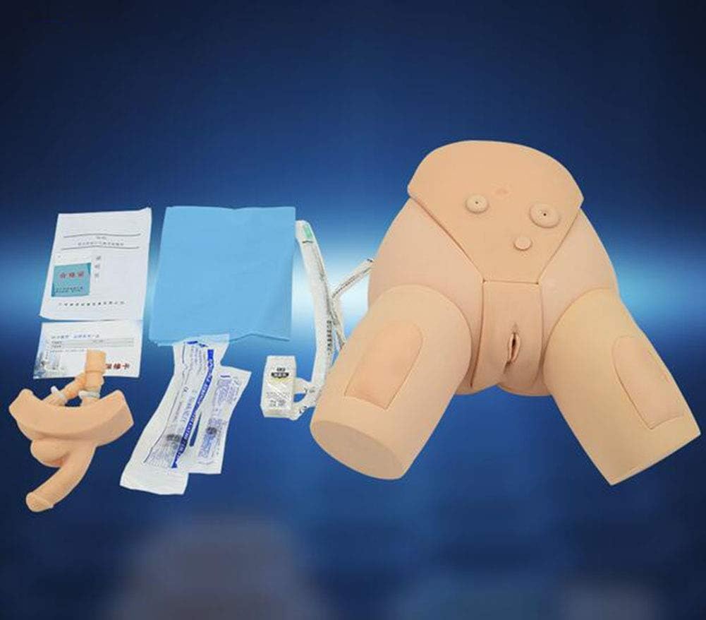 Manekin męski i żeński Model cewnikowania moczu z PVC Symulator praktyki pielęgniarskiej Wymienny manekin do pielęgniarskiego szkolenia medycznego