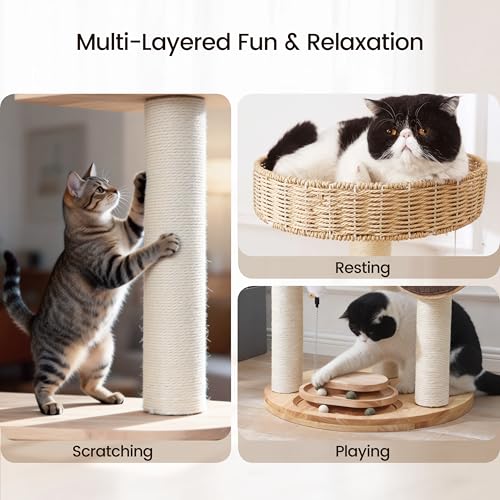 Árbol para gatos grande de madera sólida 48 pulgadas miniatura 5