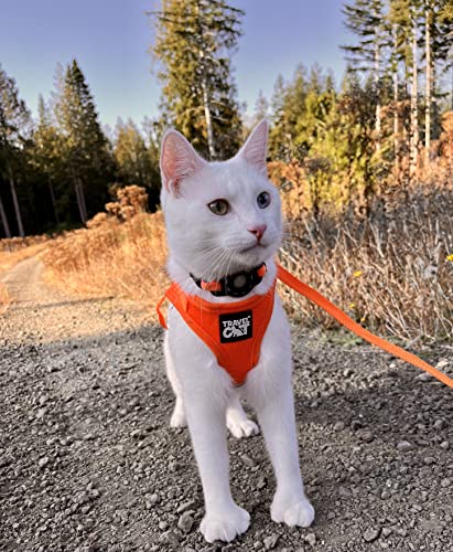 Travel Cat Harness And Leash Set - Adjustable Soft Mesh Vest Harnesses With Reflective Strap - Snug Fit Harness For Cats, Kitten For Outdoor Walking, Orange, Extra Small (Chest 9.5-11.8 Inch) #TOP4