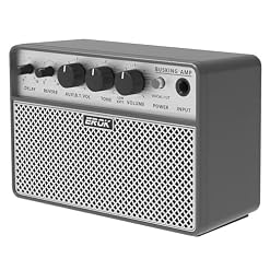 EROK Acoustic Guitar Amp – Portable 2-in-1 Amplifier for Vocal & Guitar with Digital Delay/Reverb Effects, Headphone Output & OTG Recording, Mini Amp for Practice/Travel - Les Beatles, Paul McCartney, John Lennon, RIngo Starr, George Harrison