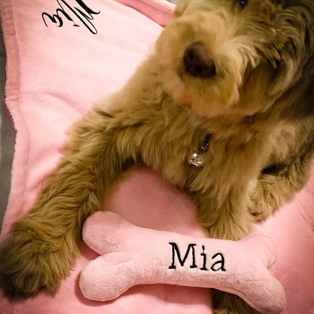 Generisch Personalisiertes Hundespielzeug Knochen mit Name – Welpengeschenk aus weichem Minky Plüsch – Hundeknochen mit Stickerei – Geschenk für Neue Hunde – Handmade