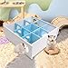 Hiyoo Multi-Chamber Hamster House Maze, Hamster Hideouts and Tunnel Exploring Toys with Transparent Acrylic Cover, Hide Toy for Hamster Gerbils Mice Lemmings (9-Room, 8.27 x 7.87 x 3 Inch)