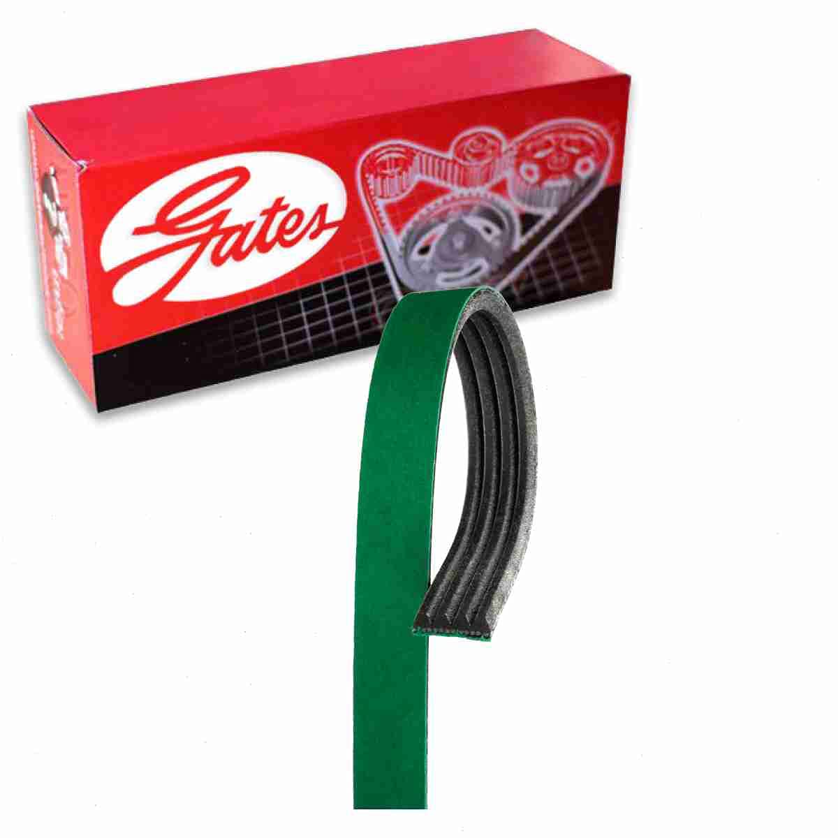 Gates AC FleetRunner Micro-V Serpentine Belt Compatible with Hummer H2 6.0L 6.2L V8 2003-2008