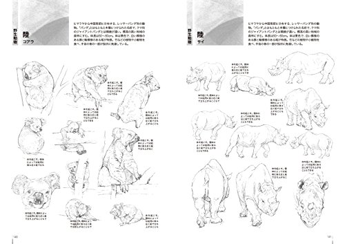 動物ポーズ集 150種の動物の形 動きがわかる Whenbuy Jchere Com 動物ポーズ集 150種の動物の形 動きがわかる Whenbuy Jchere Com