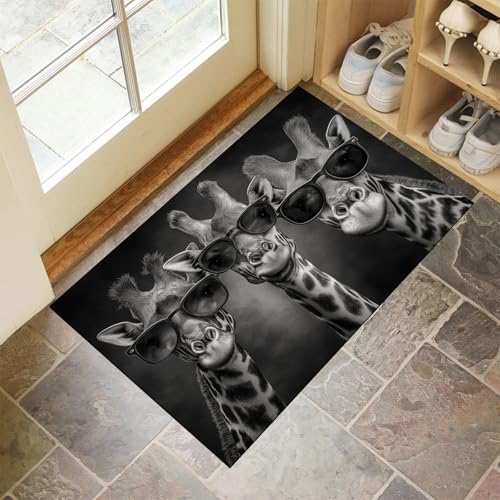 Tapis d'entrée absorbant lavable machine pour éliminer la boue du couloir - 2