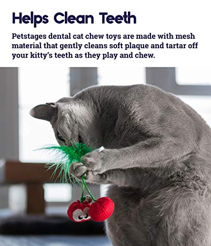Petstages Dental Cherries Catnip Cat Chew Toy