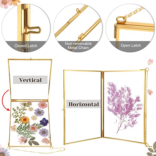 6 Pieces Brass Double Glass Frame 5 X 7 Inch Gold Floating Hanging Photo Frame Clear Horizontal And Vertical Pressed Flower Frames With Chain For Gallery Pictures Vintage Artwork Display #TOP2