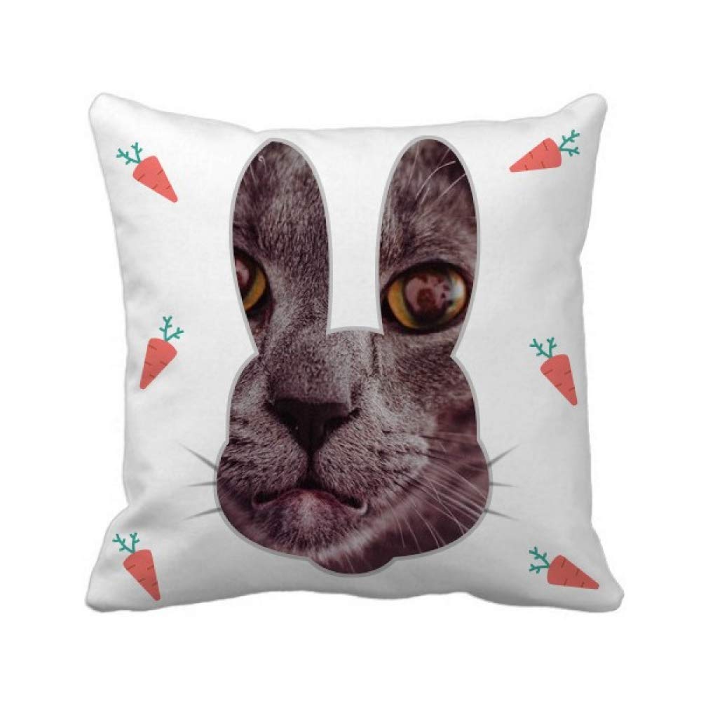 Coussin chat gris idée cadeau originale housse carrée photo lapin