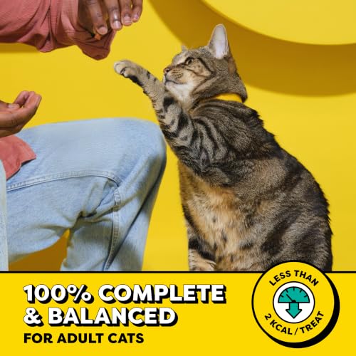 Temptations Classic Crunchy and Soft Cat Treats, Creepy Catnip, 16 oz - image 3
