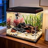 Coospider 10 Gallon Glass Fish Tank, Aquarium Starter Kit, Simple Self-Cleaning Aquarium with 3-Color LED Lights, Quiet Filter Pump, Temperature Monitoring for Fish, Shrimp, Kids Gift Ideas