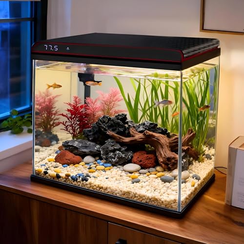Coospider 10 Gallon Glass Fish Tank, Aquarium Starter Kit, Simple Self-Cleaning Aquarium with