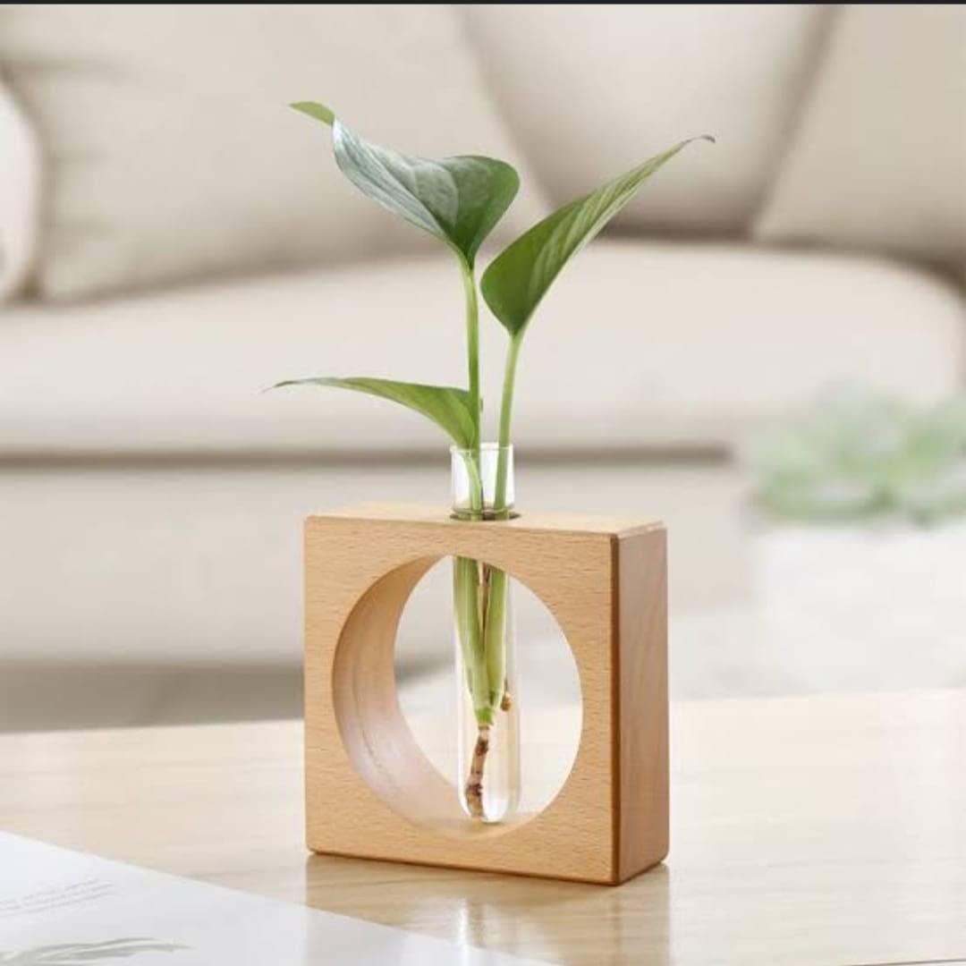Decorous Shoppee- Lets Decor Wooden Tabletop Planter Holder/Test Tube Planter Vine Holder Stand for Living Room/Bedroom/Balcony/Kitchen Planter Stand with Mango Wood (B0BSC9HG51) Amazon Price History, Amazon Price Tracker