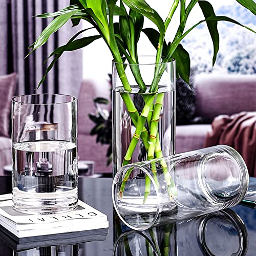 TSKDKIT Glass Vase for Flowers 20cm Glass Cylinder Vase Clear Vases for Living Room Modern Medium Vases 20 x 10cm - Image 3