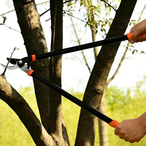 Juego de 3 Utensilios de Jardinería Patio miniatura 6