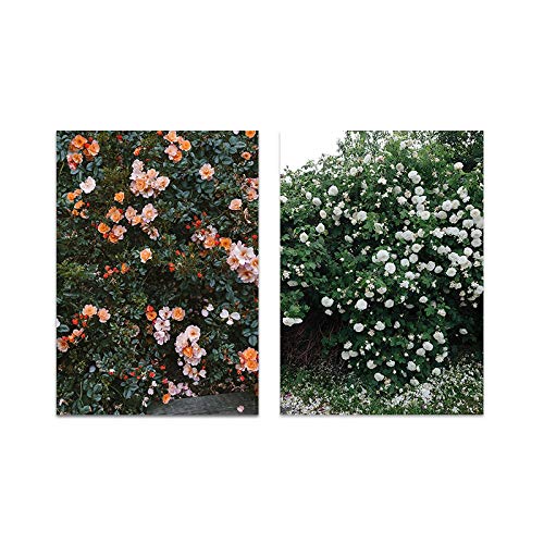 Fleur plante toile peinture pour habiller un grand mur de salon | Duo d'affiches 50x70cm