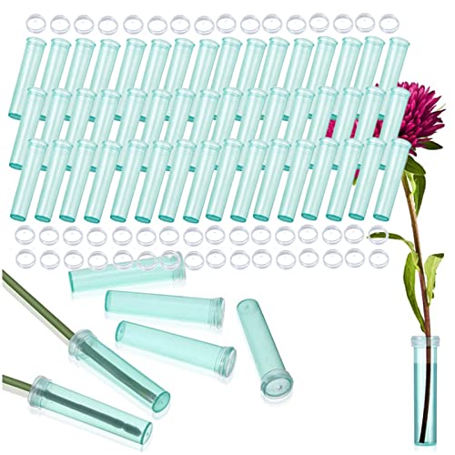 Tubos de Agua Transparentes de Plástico con Tapas Tubos de Agua de Flores Transparentes Contenedor de Agua de Flores de Tubos Flores Tubo de Agua de Plástico para Flores Durante el Transporte Fresco Cover