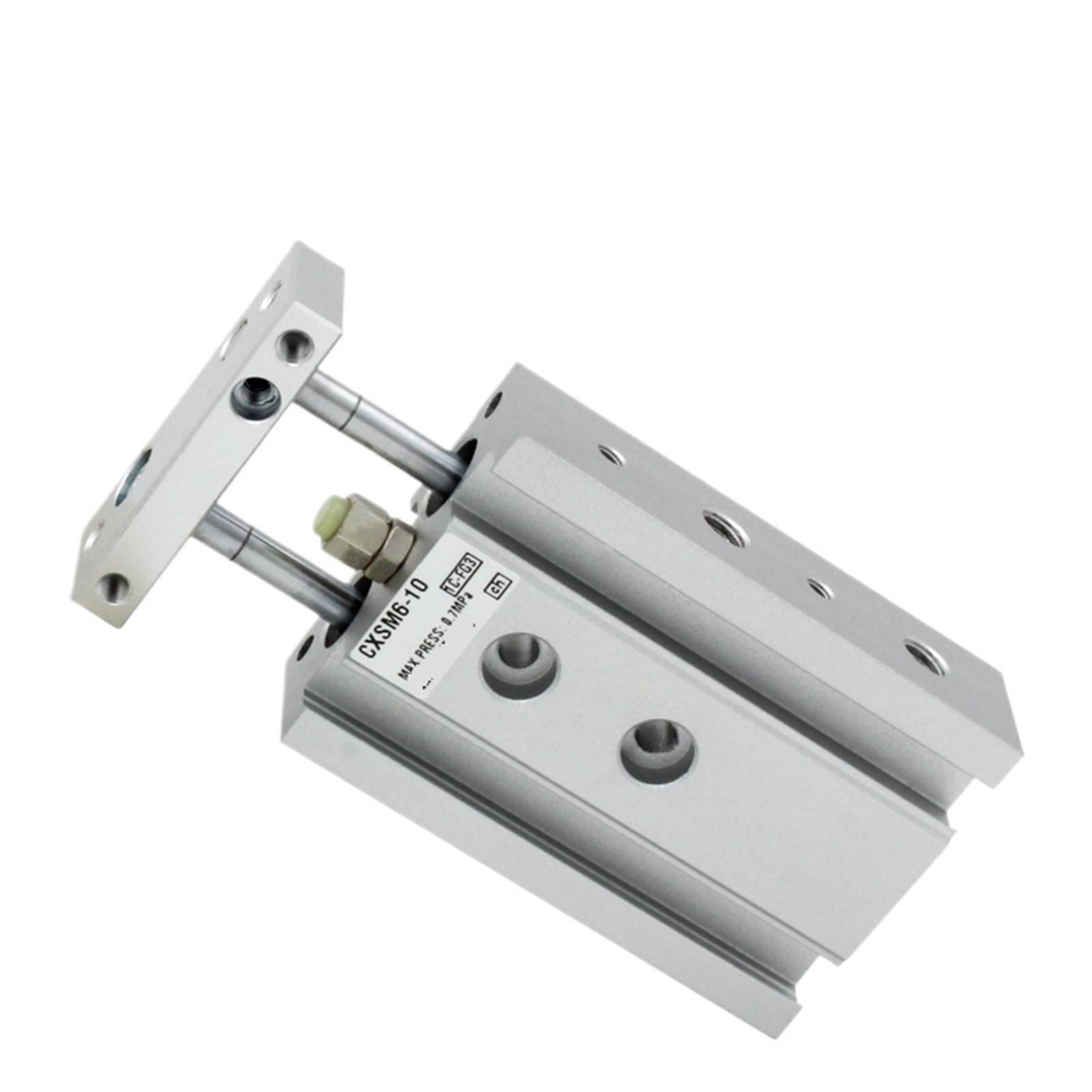 Vérin pneumatique double tige CXSM10 avec guidage par palier lisse