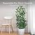 GROWNEER 3 Pcs 43" Garden Trellis for Potted Plants, Metal Trellis for Climbing Plants Outdoor Indoor, Vertical Shape Plant Support with 20 Pcs Cable Ties for Houseplant Flower Vines Ivy