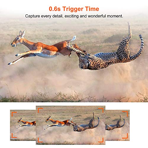 Trail & Game Hunting Camera with Night Vision 16MP for Hunter Outdoor Scouting Wildlife and Indoor Home Security Surveillance Motion Activated Waterproof Photo and Video Model Time Lapse & Time Stamp - Thumbnail 6