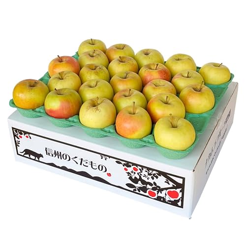 ӂ𒴂Bꂽ 11n񂲁uܖ5LAiBivS AiBi~bNX ?33 _ѐYb 쌧Y ܖ MBY Yn