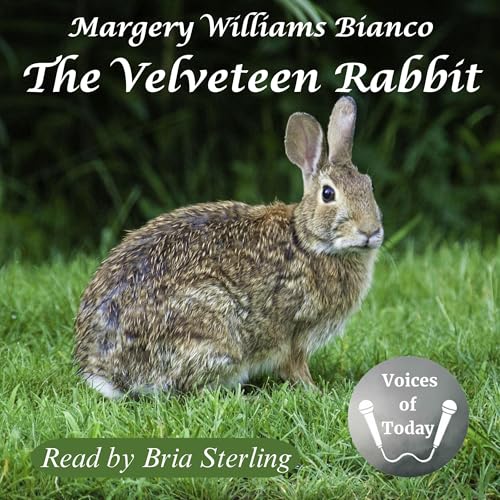 The Velveteen Rabbit by Margery Williams Bianco episode artwork