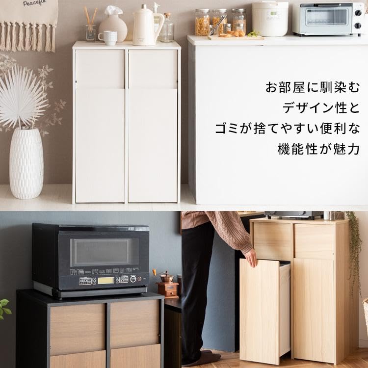 Amazon｜ゴミ箱 45L 分別 ふた付き DB-F2100 キャスター キッチン 