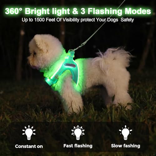 Light Up Dog Harness, Rechargeable LED Dog Harness for Small Medium Dogs by Feycig - Used condition - Image 2
