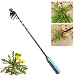 2023 New Upgrade Weeding Artifact Uprooting Weeding Tool, Manganese Steel Forged Weed Puller 4 Teeth