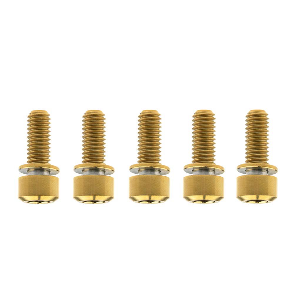 Yaruijia Titanium Bolts M6x16 18 20 25mm Cap Allen Screws with