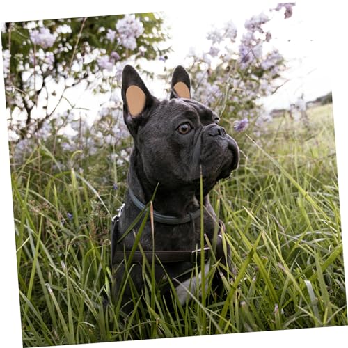 Accessoire pour Doberman et autocollants de support oreilles de chiens
