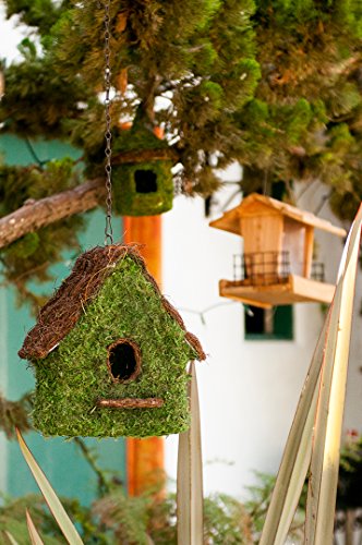 SuperMoss (56012) Maison Birdhouse with Chain, 11 by 12-Inch, Fresh Green - Thumbnail 4
