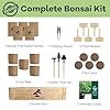 LUOJIBIE Bonsai Tree Kit for Beginners - Unique DIY Japanese Bonsai Trees,Crafts for Adults, Ideal Gardening Birthday Gift for Women & Men,Complete Indoor Plant Kit #5