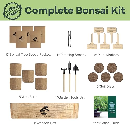 LUOJIBIE Bonsai Tree Kit for Beginners - Unique Gifts for Women, Crafts for Adults, for Women & Men,Complete Indoor Plant Kit,Easy House Plant — view 6