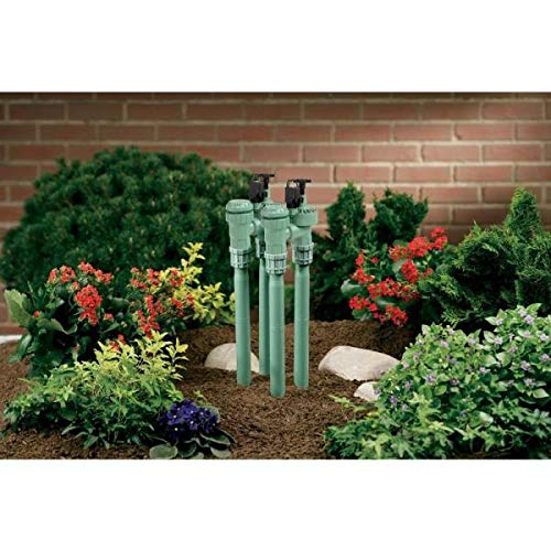 Orbit 57604 1-Inch Fpt Anti-Siphon Valve With 3/4-Inch Reducer #TOP2